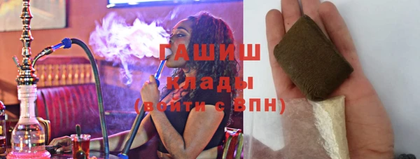 индика Балахна