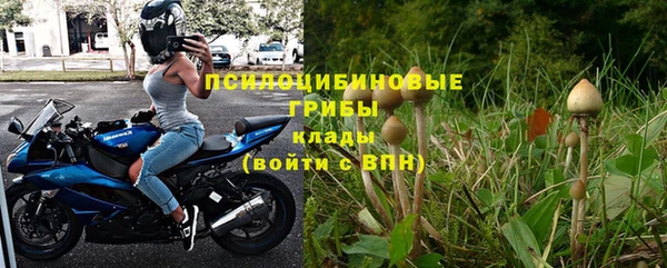 индика Балахна