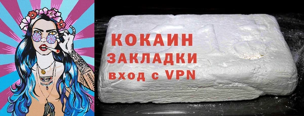 индика Балахна