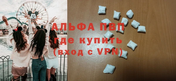 индика Балахна