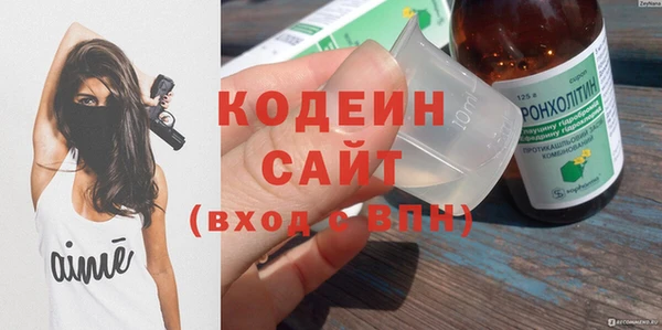 индика Балахна