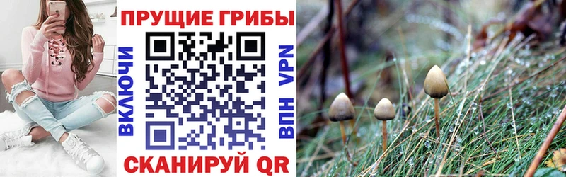 Псилоцибиновые грибы Magic Shrooms  Усолье 